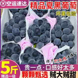 空运礼盒装5斤云南夏黑葡萄无籽，葡萄新鲜时令水果巨峰黑加仑整箱