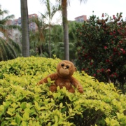 热带黄毛猩猩公仔毛绒玩具猴子娃娃解压安抚逼真亲肤猩球崛起阿黄
