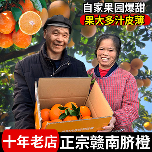 正宗江西赣南脐橙大果赣州橙子当季新鲜水果产地直发手剥橙9斤10