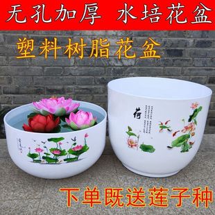 无孔睡莲荷花盆缸家用专用盆树脂铜钱草无洞水培碗莲莲藕塑料花盆