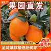 全网纽荷尔新鲜脐橙带箱，9.5-10斤大果产地直发齐橙