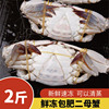 清蒸款肥二母蟹新鲜冷冻梭子蟹水产海螃蟹海蟹捞汁海鲜大咖商用