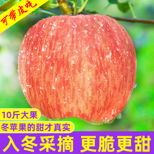 山西运城红富士丑苹果新鲜水果，当季整箱斤10应季冰糖心脆甜平萍果