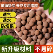 陶粒多肉花盆垫底透气颗粒养花专用水培陶粒回填卫生间，彩色陶土粒