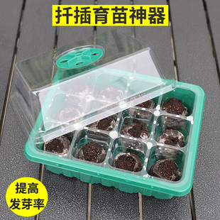 穴盘塑料保温营养钵播种12孔10孔种子育苗盒扦插提高发芽率芽菜盘