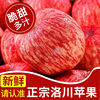 正宗陕西洛川苹果水果，新鲜当季整箱红富士，冰糖心一级脆甜10斤