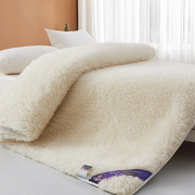 纯色羊毛款加厚亲肤床褥软床垫榻榻米可折叠秋冬家用持久保暖床垫