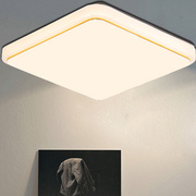 方灯吸顶灯LED正方形卧室灯餐厅客厅灯阳台走廊厨卫家用灯具吸灯2