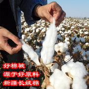 新疆一级长绒棉被棉絮被芯加厚保暖棉，花被褥子垫被学生全棉冬被子