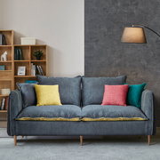 布艺沙发现代简约北欧风格，沙发小户型双人三人，沙发网红款客厅整装