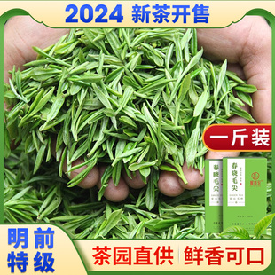 绿茶2024新茶叶明前特级毛尖毛峰四川雅安蒙顶山茶高山云雾赋雅轩