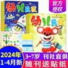 幼儿画报2024年1-4月季度订阅0-3-7岁智力开发儿童早教杂志故事，婴儿画报嘟嘟熊画报(熊画报，)启蒙认知绘本阅读2024全年非过刊单本