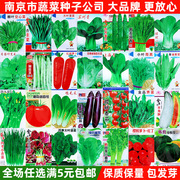 蔬菜种子四季播种菜园黄瓜番茄，辣椒南瓜豆角春夏，蔬菜种籽种孑大全