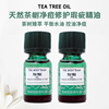 tbs英国thebodyshop美体小铺，茶树精油祛痘清爽控油净化肌肤祛痘印