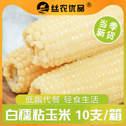 白糯玉米10支真空袋装新鲜即食非东北黏玉米棒低脂0添加整箱苞谷