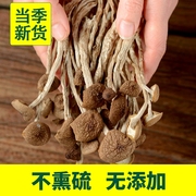 古田特产茶树菇干货茶树菇，干货500g不开伞，当年新货无硫熏