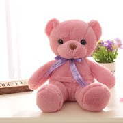 多彩熊公仔彩色泰迪熊毛绒玩具小熊玩偶布娃娃抱抱熊儿童生日礼物