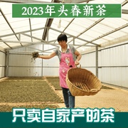 生普洱茶生茶特级2023年头春新茶云南乔木古树散装250克纯料茶农