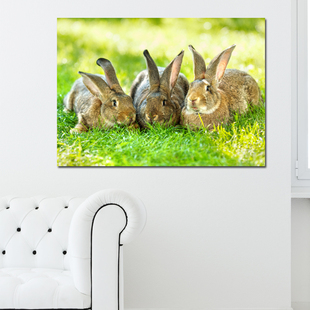 可爱小兔子动物走廊玄关，横版单幅无框画卧室，床头挂画客厅背景墙画