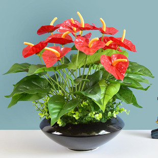 红掌仿真植物假花仿真花绿植花卉家居装饰品塑料花客厅摆件假盆栽