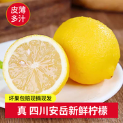 四川安岳黄柠檬(黄柠檬)新鲜水果1斤装当季水果，商用香水榨汁奶茶店专用