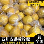 四川安岳尤力克黄柠檬(黄柠檬，)3060斤新鲜应当季水果，一二级鲜柠檬坏果包赔