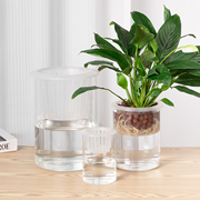水培玻璃花盆简约家用透明直筒，圆柱花瓶绿萝白掌水养植物大号容器
