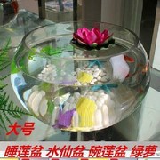 皿碗莲花盆乌莲花瓶龟鱼缸，水透明大号盆睡水培，玻璃养植物器