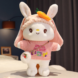 可爱兔子玩偶毛绒玩具，小白兔布娃娃女生小女孩，2022兔年吉祥物公仔