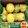 安岳尤力克黄柠檬(黄柠檬，)新鲜果园直发，双胞胎5斤装柠檬皮薄汁多