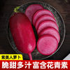 紫美人水果萝卜甜脆型潍坊潍县沙窝紫皮红心凤梨萝卜新鲜