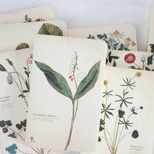 九口山药草系列白纸裸装手，帐本空白内页笔记本，植物主题记事本