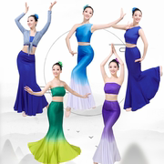 傣族舞蹈演出服装女成人艺考练功服弹力孔雀舞鱼尾裙渐变练习裙子