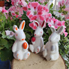 釉面陶瓷兔子情侣可爱桌面，兔年花盆装饰摆件，家居庭院饰品客厅