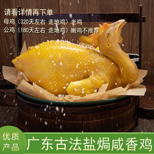 拍2减26元广东，三大名菜之一古法盐焗咸香鸡850g发请看详情