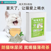 猫薄荷茶可食用帮助猫喝水消化清新口气调节情绪天然薄荷促进饮水