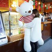 情人节送女友泰迪熊猫公仔娃娃，抱抱熊1.米大熊毛绒玩具日礼0124h