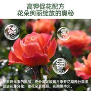 国光施奇月季专用营养液室内盆栽，玫瑰蔷薇花卉，植物通用型液体花肥