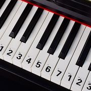 钢琴键盘贴纸88键专业61键54键儿童成人电子琴简谱音符按键贴纸