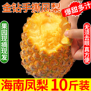 海南金钻凤梨10斤当季新鲜热带水果香水菠萝手撕凤梨无眼整箱