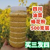 2023年春新鲜食用油菜蜂花粉农家自产四川菜花粉前列腺男500克