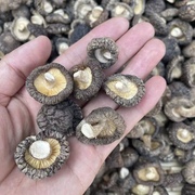 野生香菇干货500g肉厚无根干香菇菌菇新货净重，农家特产山上香菇