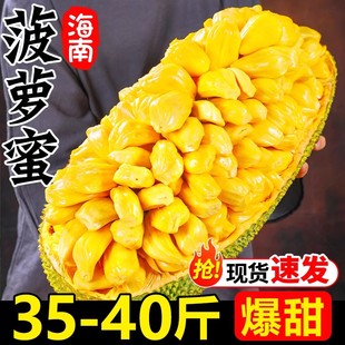 海南黄肉菠萝蜜新鲜水果，20-45斤波罗蜜当季整箱，特产一整个红