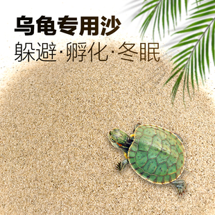 水尚良品乌龟专用沙孵化下蛋爬虫爬宠养殖冬眠细沙子鱼缸底砂造景