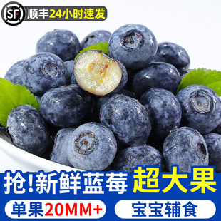 云南蓝莓新鲜水果当季蓝梅鲜果高山怡颗甜莓整箱孕妇大果