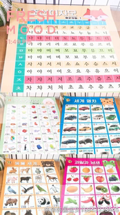 认知朝文挂图，朝鲜语韩语幼儿，启蒙中韩对照水果动物