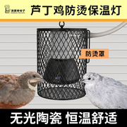 芦丁鸡保温灯自动温控恒温保暖灯，饲养箱小鸡取暖灯泡，卢丁鸡加热灯