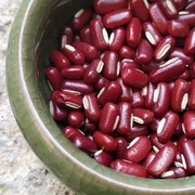 正宗农家自产赤小豆500g广西巴马天然长粒当季新赤豆(新赤豆)红豆满