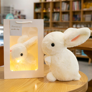 可爱仿真兔子礼盒装毛绒玩具公仔，情侣一对布娃娃小白兔子中秋礼物