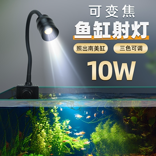 鱼缸射灯变焦灯南美造景专用小型水草灯LED雷龙照明灯具防水夹灯